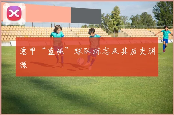 意甲“蓝狐”球队标志及其历史渊源
