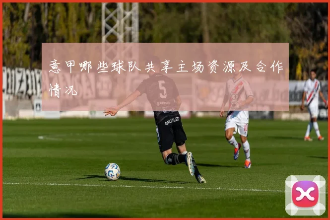 意甲哪些球队共享主场资源及合作情况