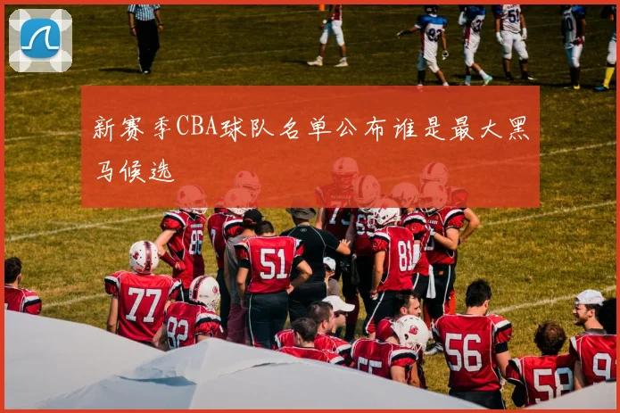 新赛季CBA球队名单公布谁是最大黑马候选