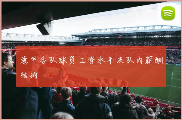 意甲各队球员工资水平及队内薪酬结构