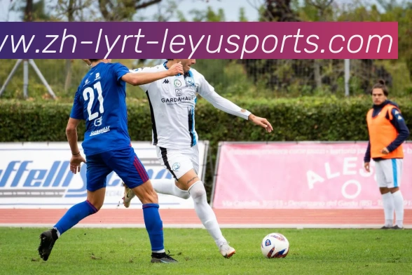 乐鱼体育发展历程