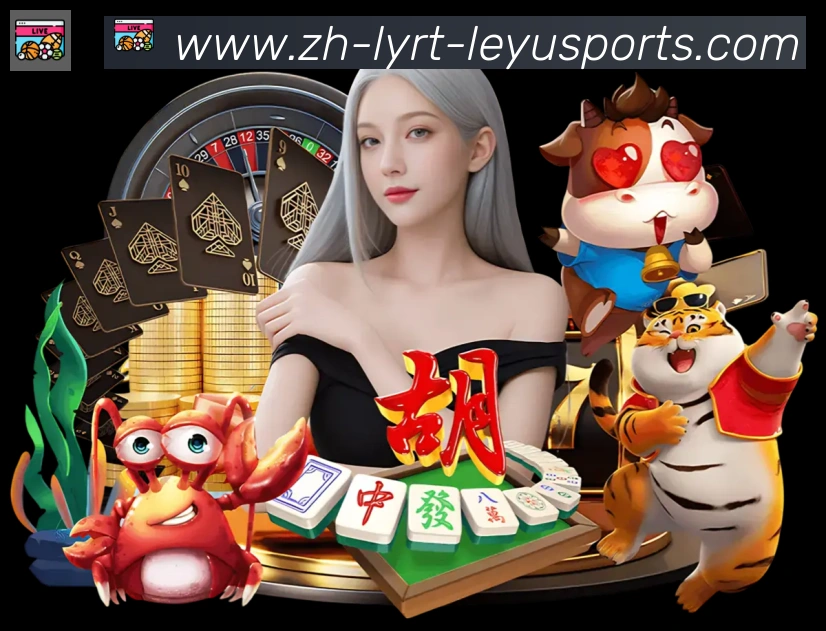 未来规划